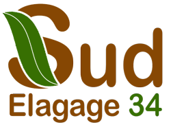 elagage-sud-elagage-34